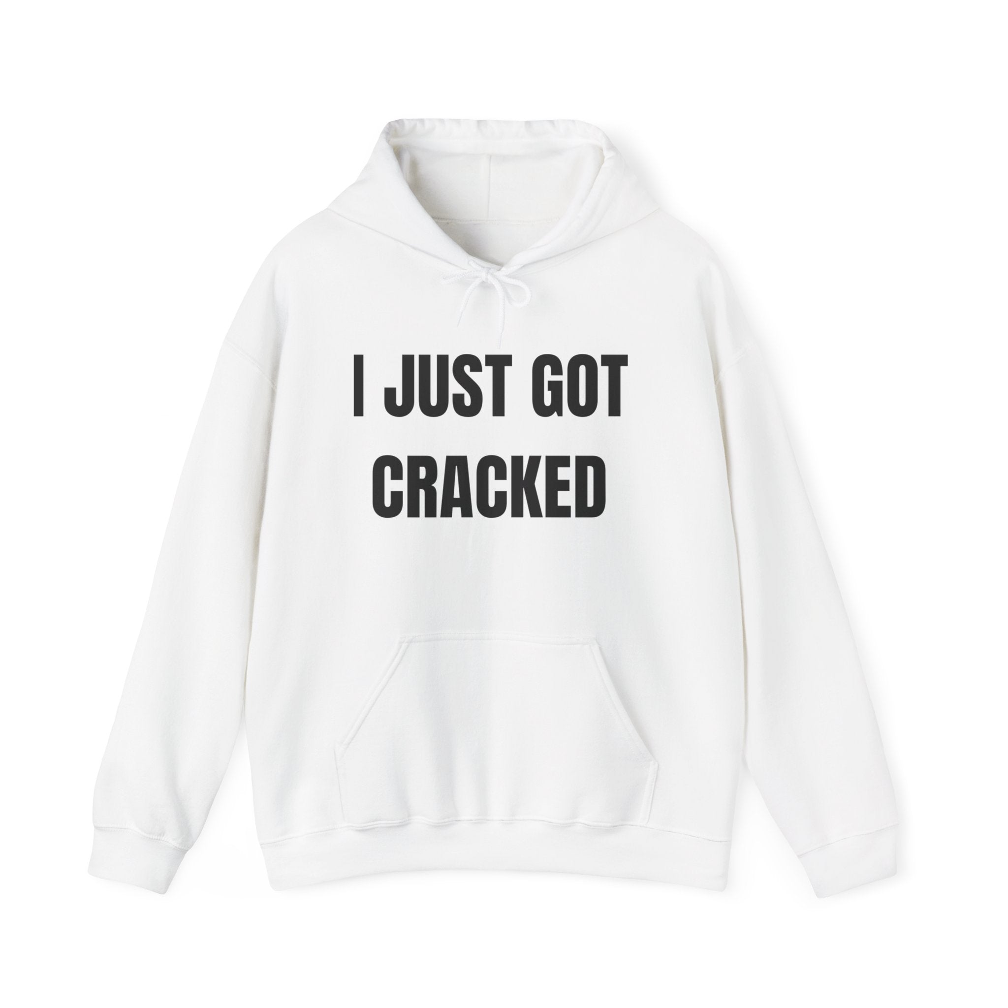 I Just Got Cracked Hoodie