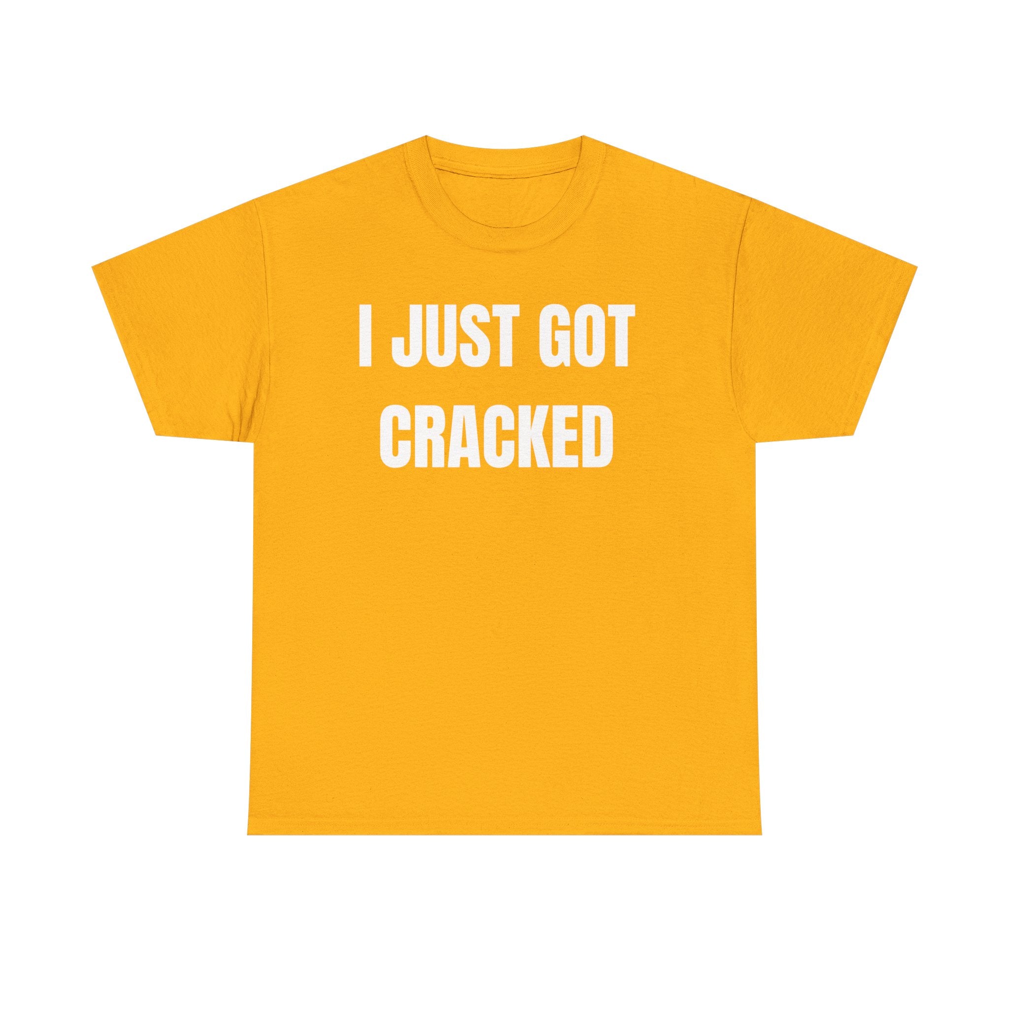 I Just Got Cracked T-Shirt