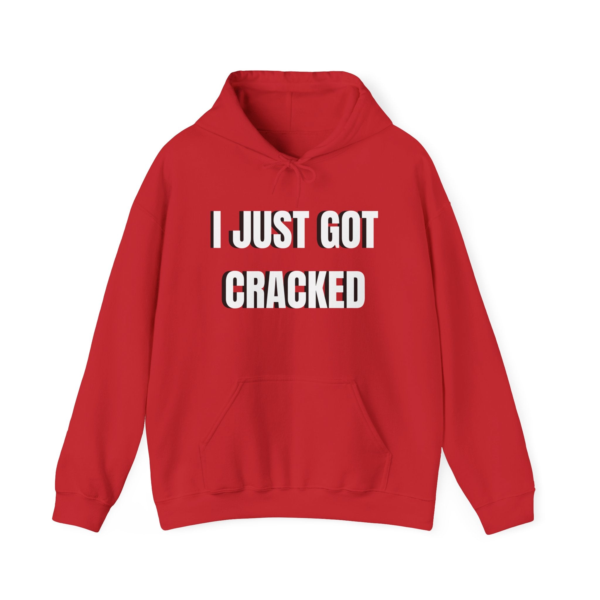 I Just Got Cracked Hoodie